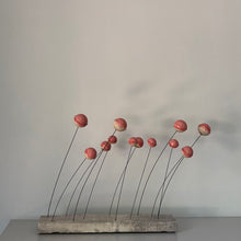 Afbeelding in Gallery-weergave laden, CADANS | 3 | STEENGOED | LOLLY POP ROSE