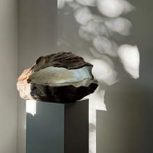 Afbeelding in Gallery-weergave laden, Mother of Pearl Keramische Oester | Steengoed