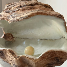Afbeelding in Gallery-weergave laden, Mother of Pearl Keramische Oester | Steengoed