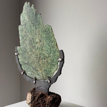 Afbeelding in Gallery-weergave laden, GROUNDED | I | Glas | Staal | Steen |