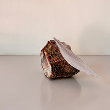 Afbeelding in Gallery-weergave laden, GLAZEN BLAADJE OP EEN MINERALE STEEN | UNICA