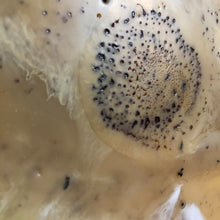 Afbeelding in Gallery-weergave laden, FIVE PANEL 130|50 |MOVING DOTS| RED|ORANGE I ENCAUSTIC