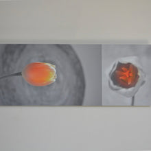 Afbeelding in Gallery-weergave laden, RECTANGLE DE KERN (dibond) *30|80|0,5 I