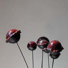 Afbeelding in Gallery-weergave laden, CADANS | 2 | KERAMIEK | GLAS | KARTON | COLOUR RED |V E R K O C H T|
