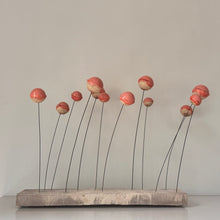 Afbeelding in Gallery-weergave laden, CADANS | 3 | STEENGOED | LOLLY POP  ROSE
