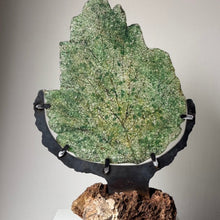 Afbeelding in Gallery-weergave laden, GROUNDED | I | Glas | Staal | Steen |
