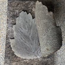 Afbeelding in Gallery-weergave laden, NEXT PHASE | Glas | Keramiek | Bruin graniet | Unica

