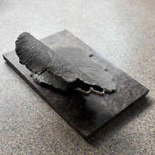 Afbeelding in Gallery-weergave laden, NEXT PHASE | Glas | Keramiek | Bruin graniet | Unica

