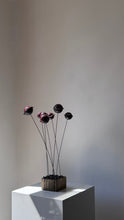 Afbeelding in Gallery-weergave laden, CADANS | 2 | KERAMIEK | GLAS | KARTON | COLOUR RED |V E R K O C H T|
