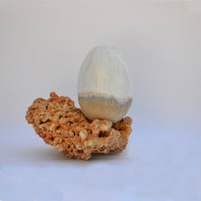 Afbeelding in Gallery-weergave laden, ARISE IV
