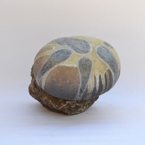 OVAL20 I